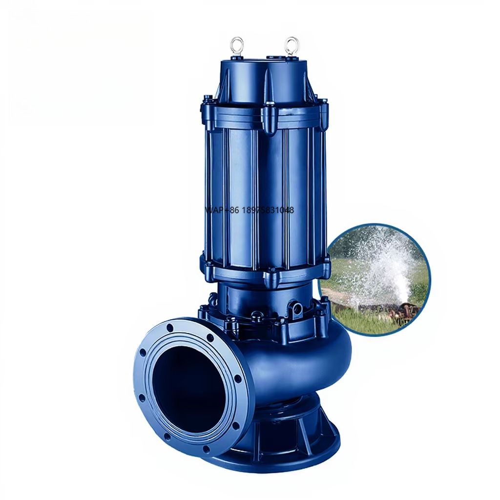 Centrifugal Dewatering for Dir - Water Pump Submersible recension och pris